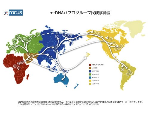 mtDNA-Map.jpg